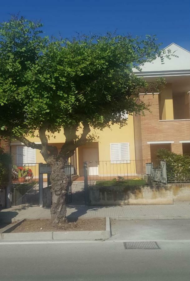 Appartamento Emilia Cupra Marittima Exteriör bild
